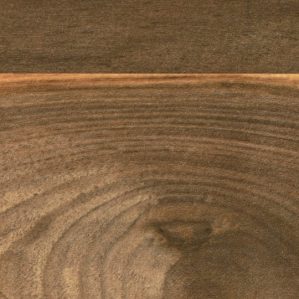 9479-wide-planked-walnut-100x100mm-jpg